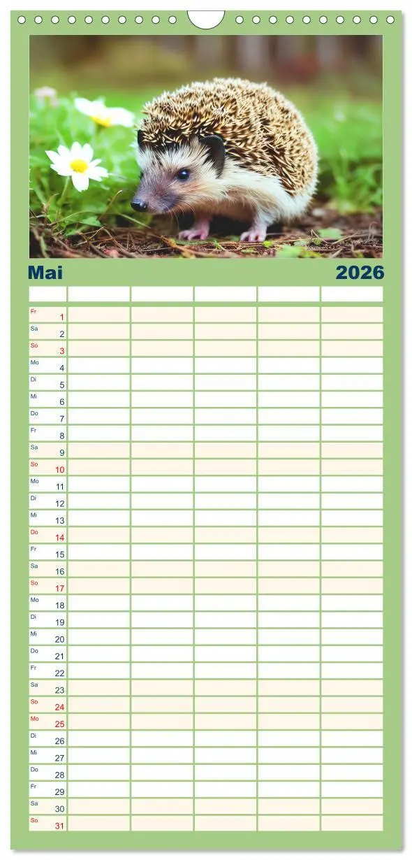 Bild: 9783516498776 | Familienplaner 2026 - Niedliche Igel mit 5 Spalten (Wandkalender,...