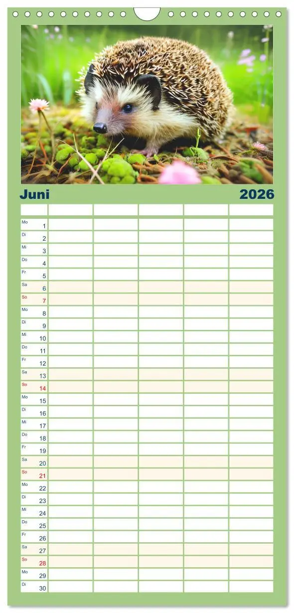 Bild: 9783516498776 | Familienplaner 2026 - Niedliche Igel mit 5 Spalten (Wandkalender,...