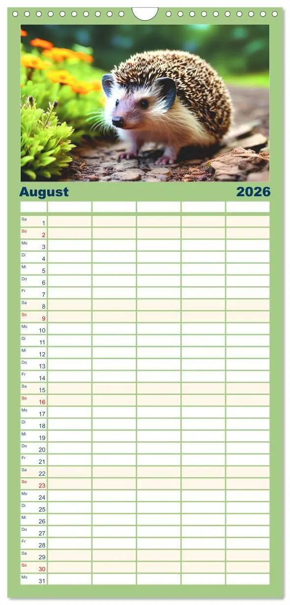 Bild: 9783516498776 | Familienplaner 2026 - Niedliche Igel mit 5 Spalten (Wandkalender,...