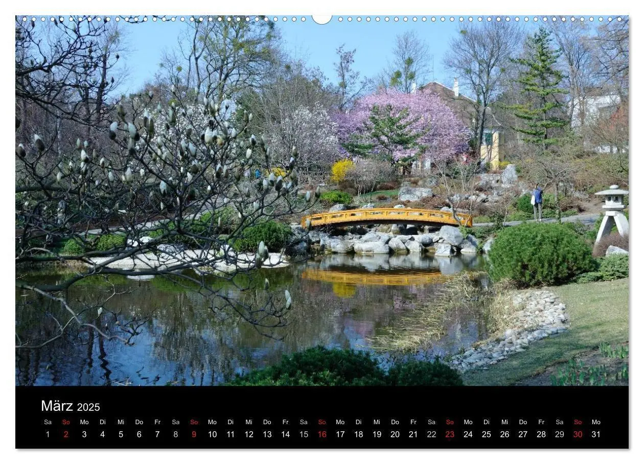 Bild: 9783435828876 | Wien (Wandkalender 2025 DIN A2 quer), CALVENDO Monatskalender | 2025