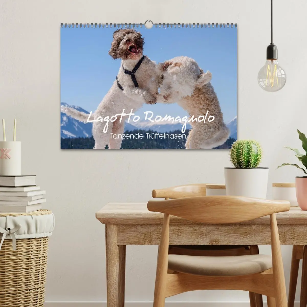 Bild: 9783457918876 | Lagotto Romagnolo Tanzende Trüffelnasen (Wandkalender 2026 DIN A3...