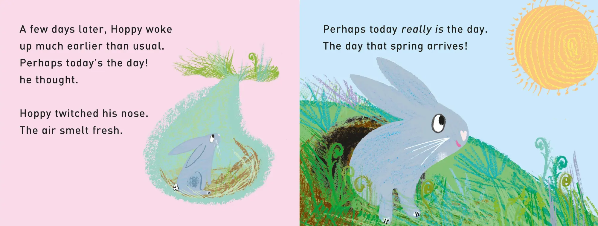 Bild: 9781529098976 | Hooray for Hoppy | A First Book of Senses | Tim Hopgood | Buch | 2023