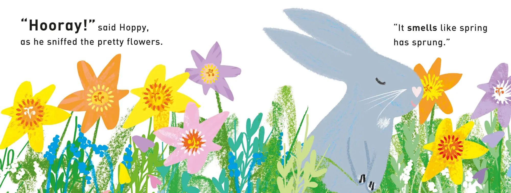 Bild: 9781529098976 | Hooray for Hoppy | A First Book of Senses | Tim Hopgood | Buch | 2023