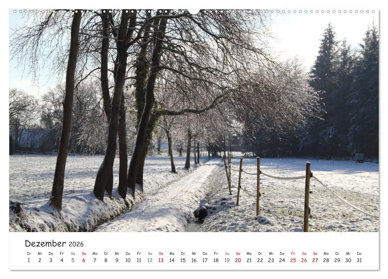 Bild: 9783457458976 | Zauberhaftes Ammerland (hochwertiger Premium Wandkalender 2026 DIN...