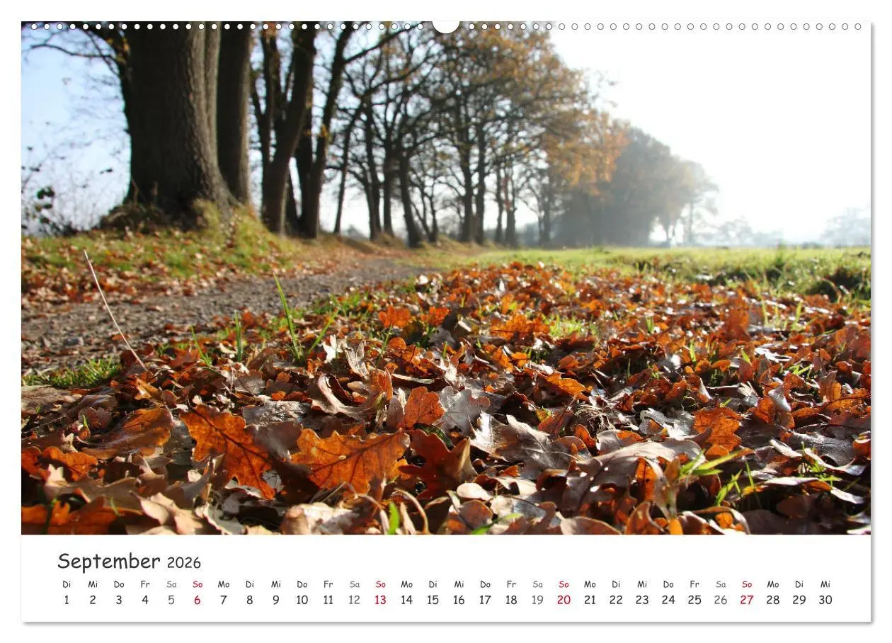 Bild: 9783457458976 | Zauberhaftes Ammerland (hochwertiger Premium Wandkalender 2026 DIN...