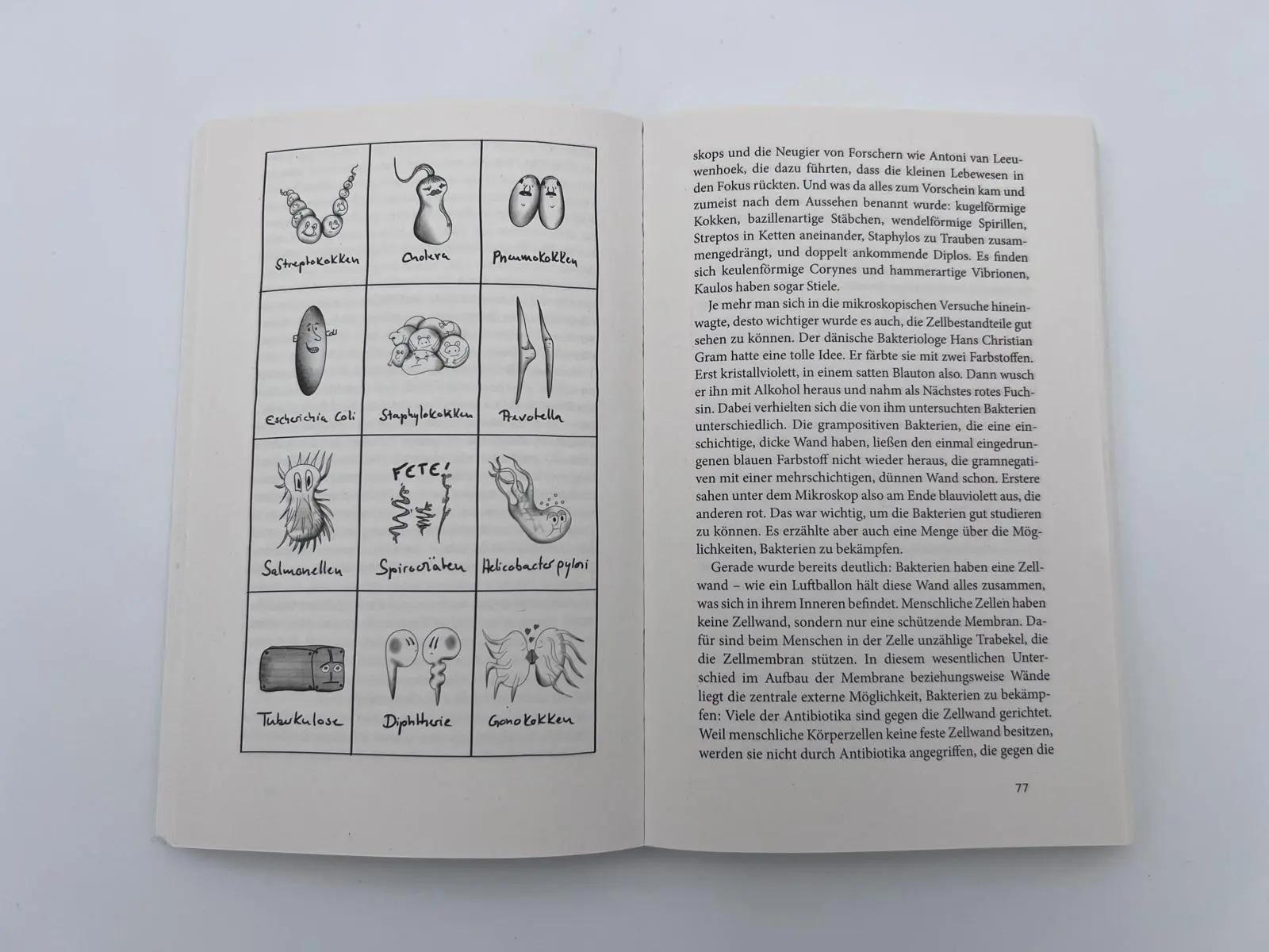 Bild: 9783492318976 | Unser Immunsystem | Hendrik Streeck | Taschenbuch | 224 S. | Deutsch