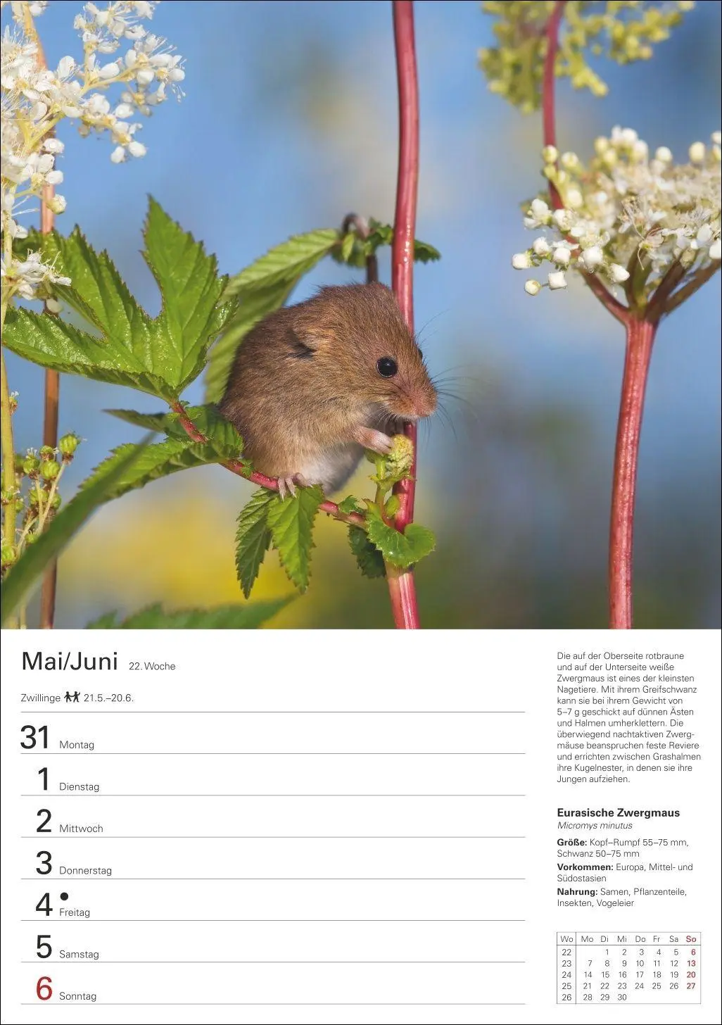 Bild: 9783840038976 | Heimische Tiere Wochenplaner 2027 - 53 faszinierende Fotografien