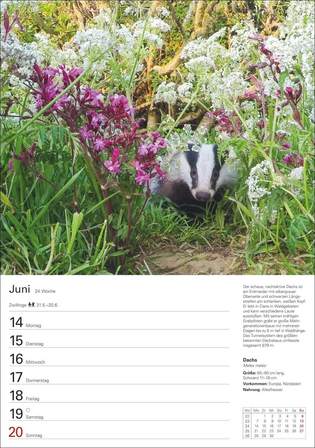 Bild: 9783840038976 | Heimische Tiere Wochenplaner 2027 - 53 faszinierende Fotografien
