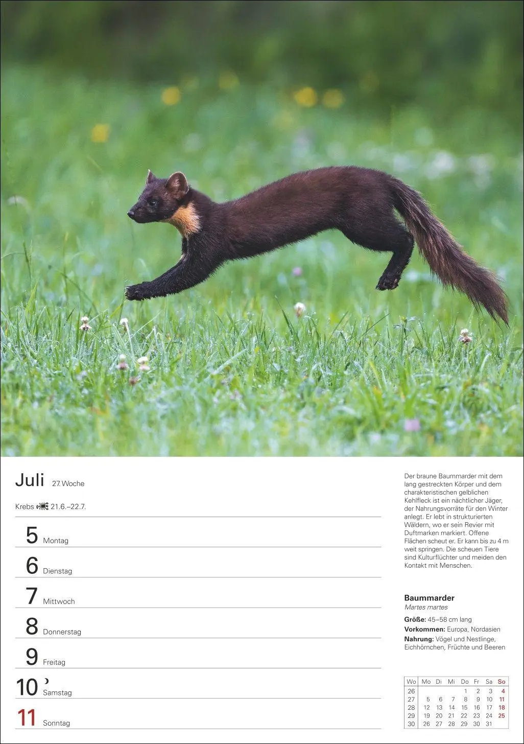 Bild: 9783840038976 | Heimische Tiere Wochenplaner 2027 - 53 faszinierende Fotografien