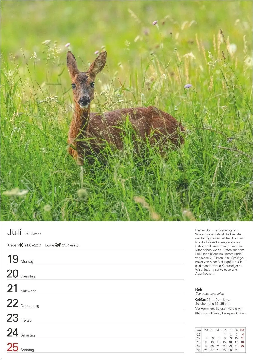 Bild: 9783840038976 | Heimische Tiere Wochenplaner 2027 - 53 faszinierende Fotografien