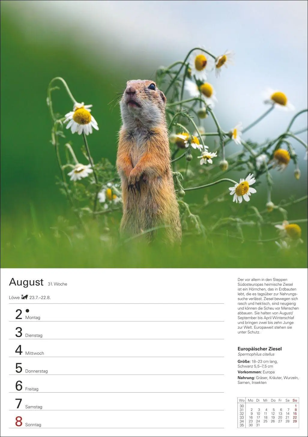 Bild: 9783840038976 | Heimische Tiere Wochenplaner 2027 - 53 faszinierende Fotografien
