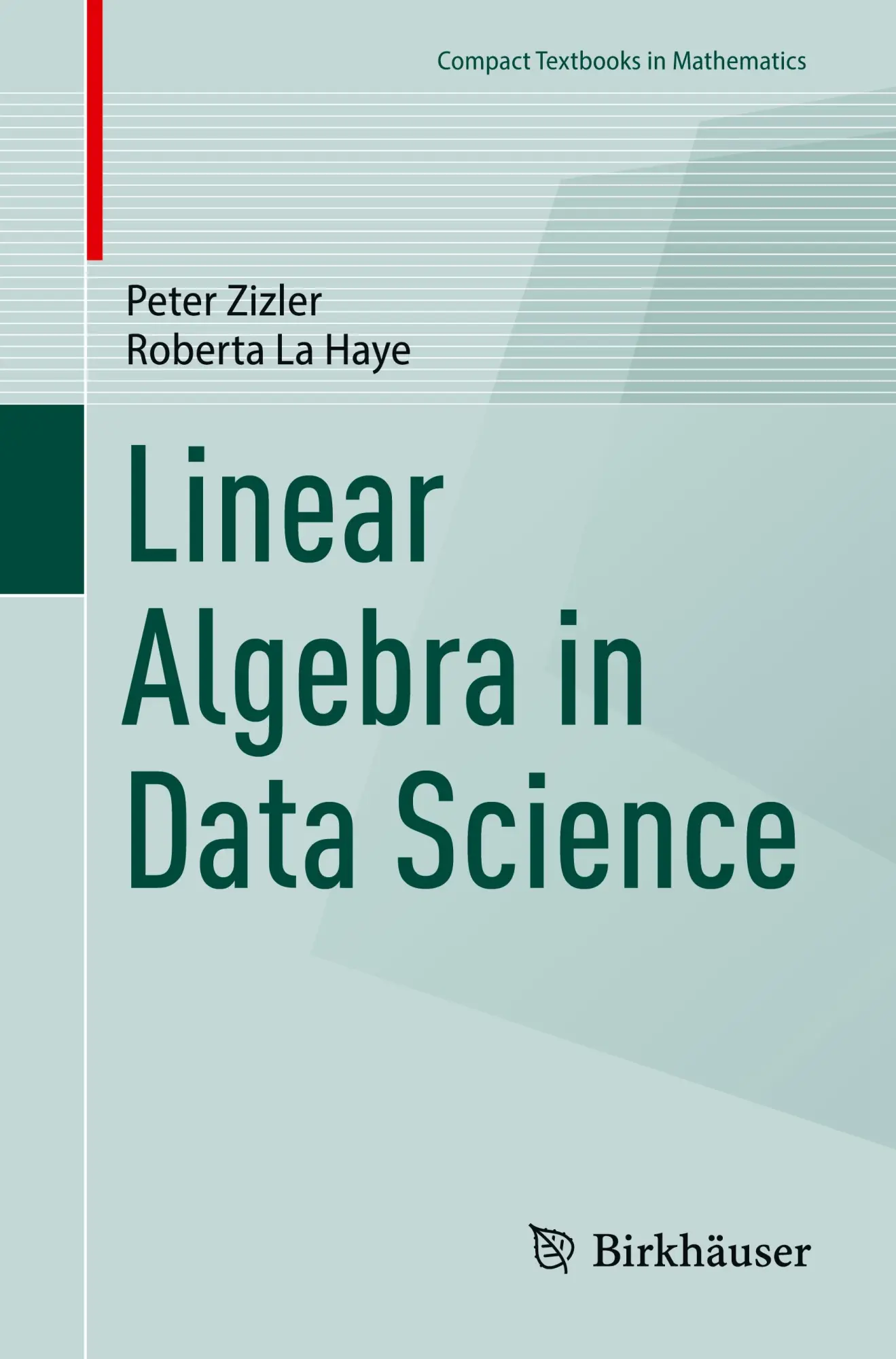 Cover: 9783031549076 | Linear Algebra in Data Science | Roberta La Haye (u. a.) | Taschenbuch