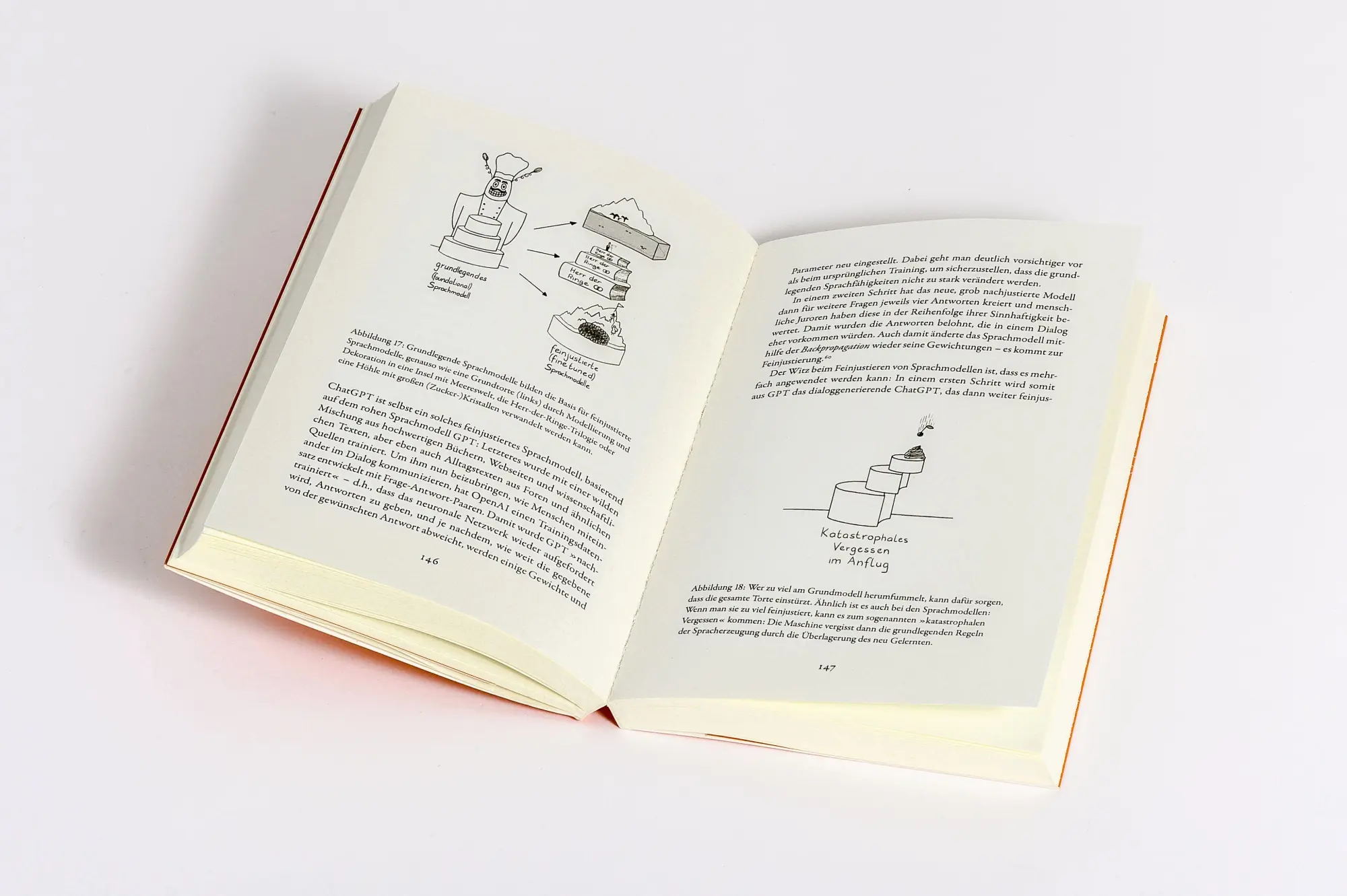 Bild: 9783453219076 | Weiß die KI, dass sie nichts weiß? | Katharina Zweig | Taschenbuch