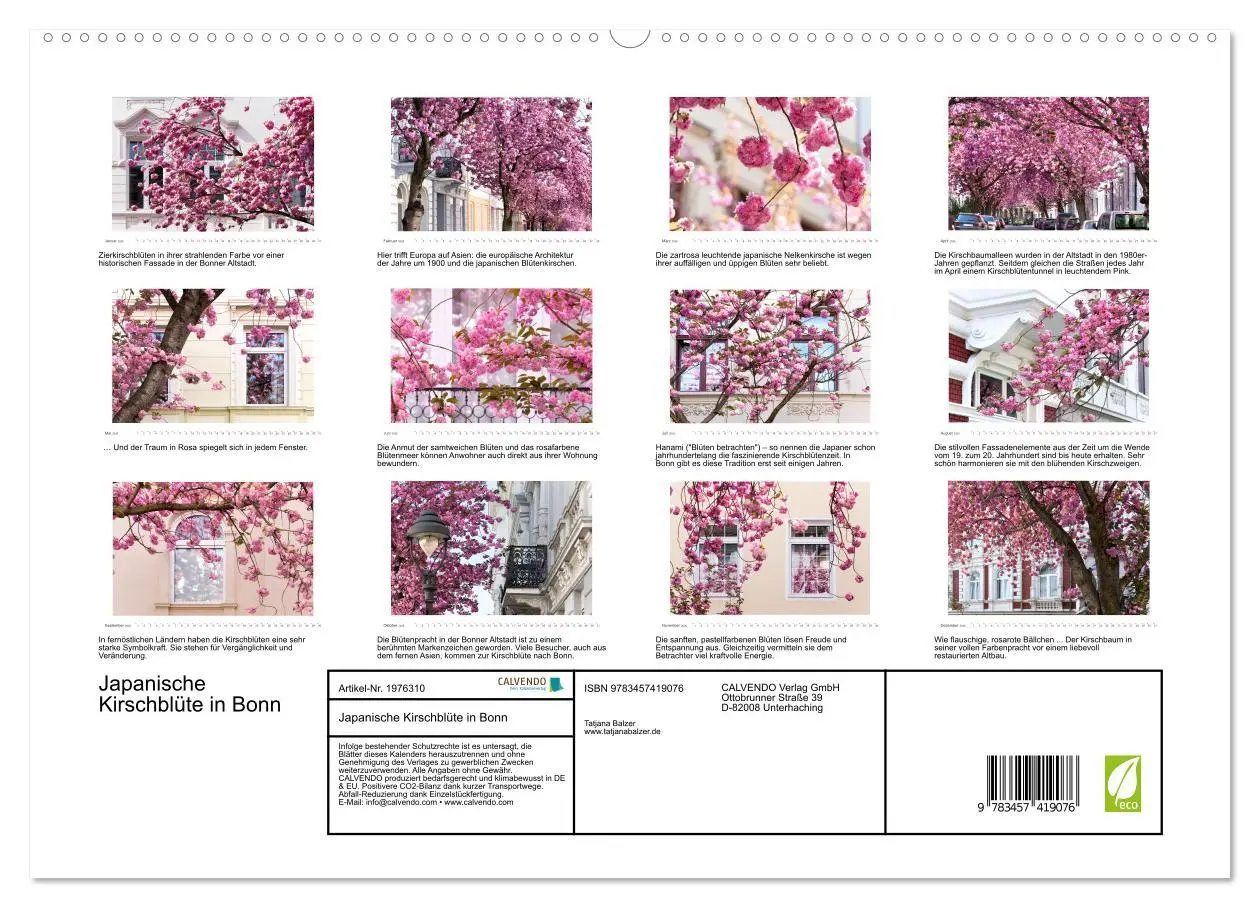 Bild: 9783457419076 | Japanische Kirschblüte in Bonn (hochwertiger Premium Wandkalender...
