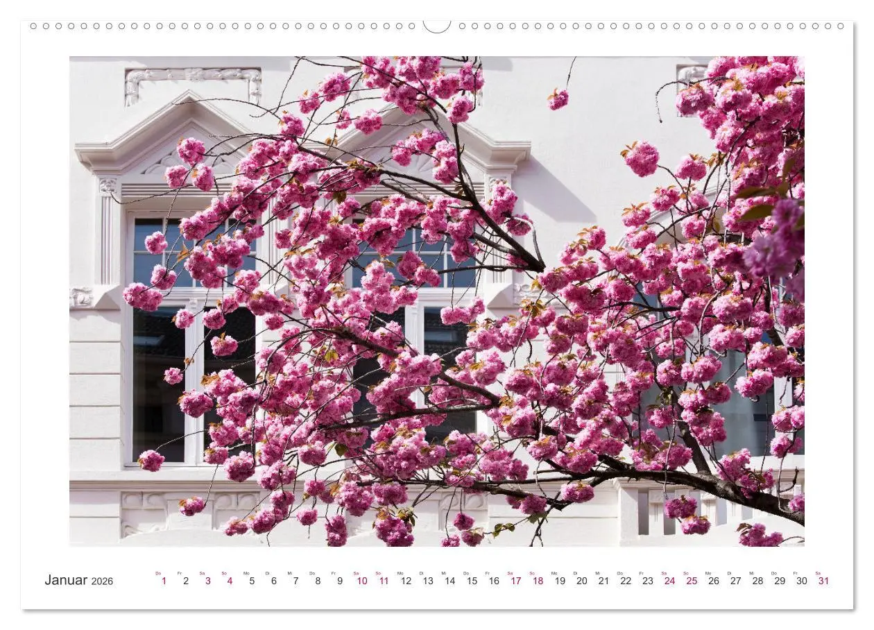 Bild: 9783457419076 | Japanische Kirschblüte in Bonn (hochwertiger Premium Wandkalender...
