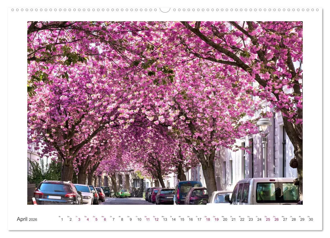Bild: 9783457419076 | Japanische Kirschblüte in Bonn (hochwertiger Premium Wandkalender...