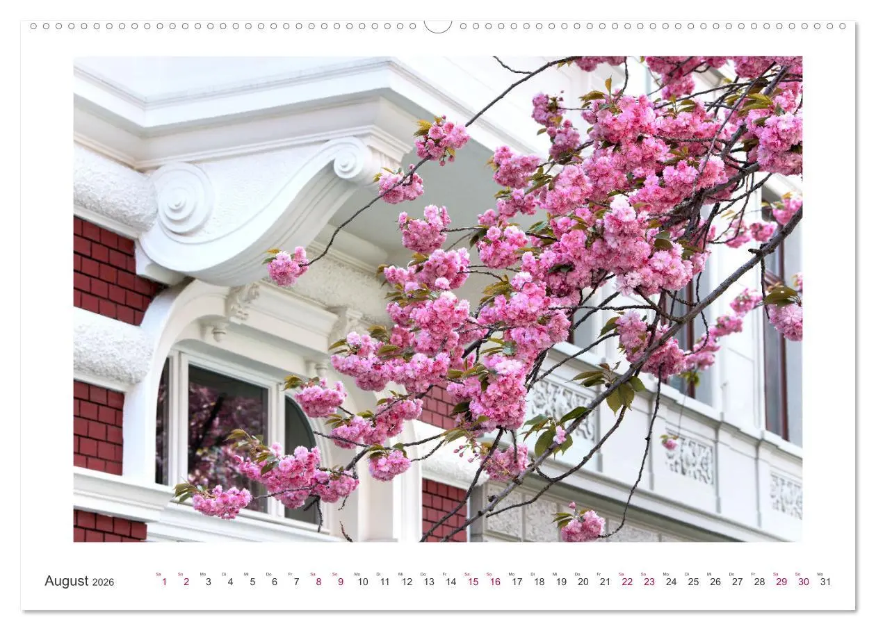 Bild: 9783457419076 | Japanische Kirschblüte in Bonn (hochwertiger Premium Wandkalender...