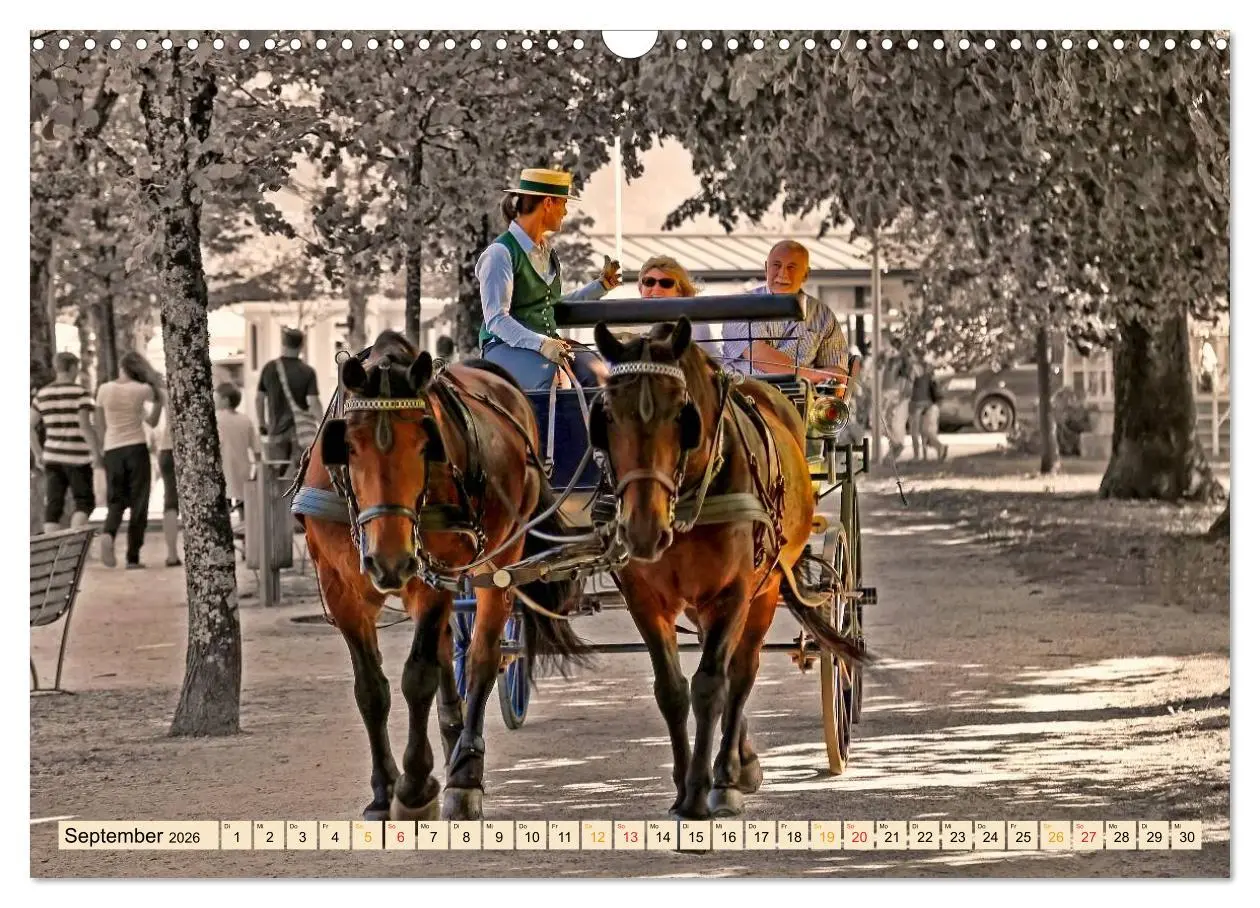 Bild: 9783457969076 | Pferdekutschen - Vorgänger des Automobils (Wandkalender 2026 DIN A3...
