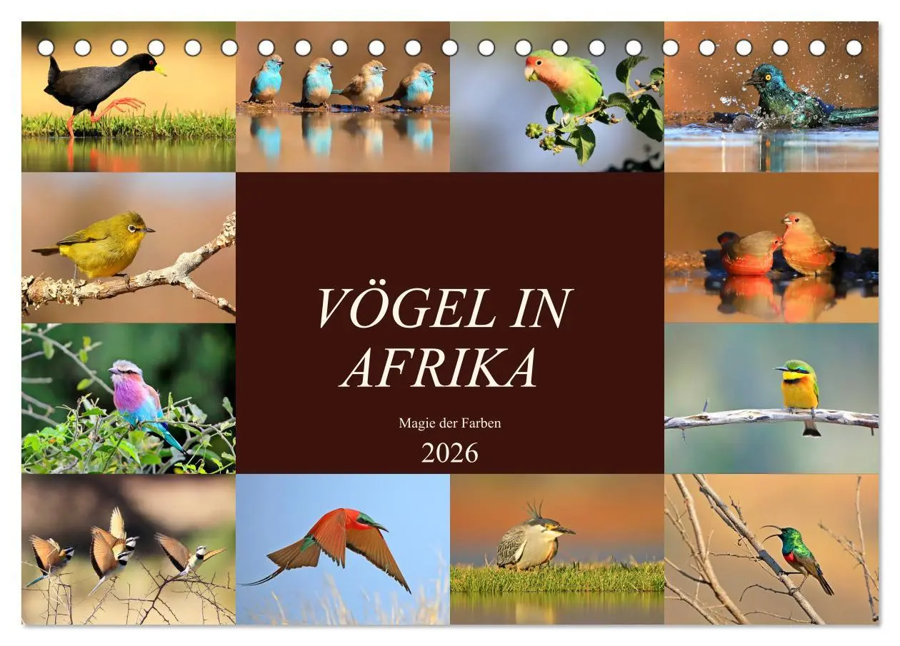 Cover: 9783516129076 | Vögel in Afrika - Magie der Farben (Tischkalender 2026 DIN A5...