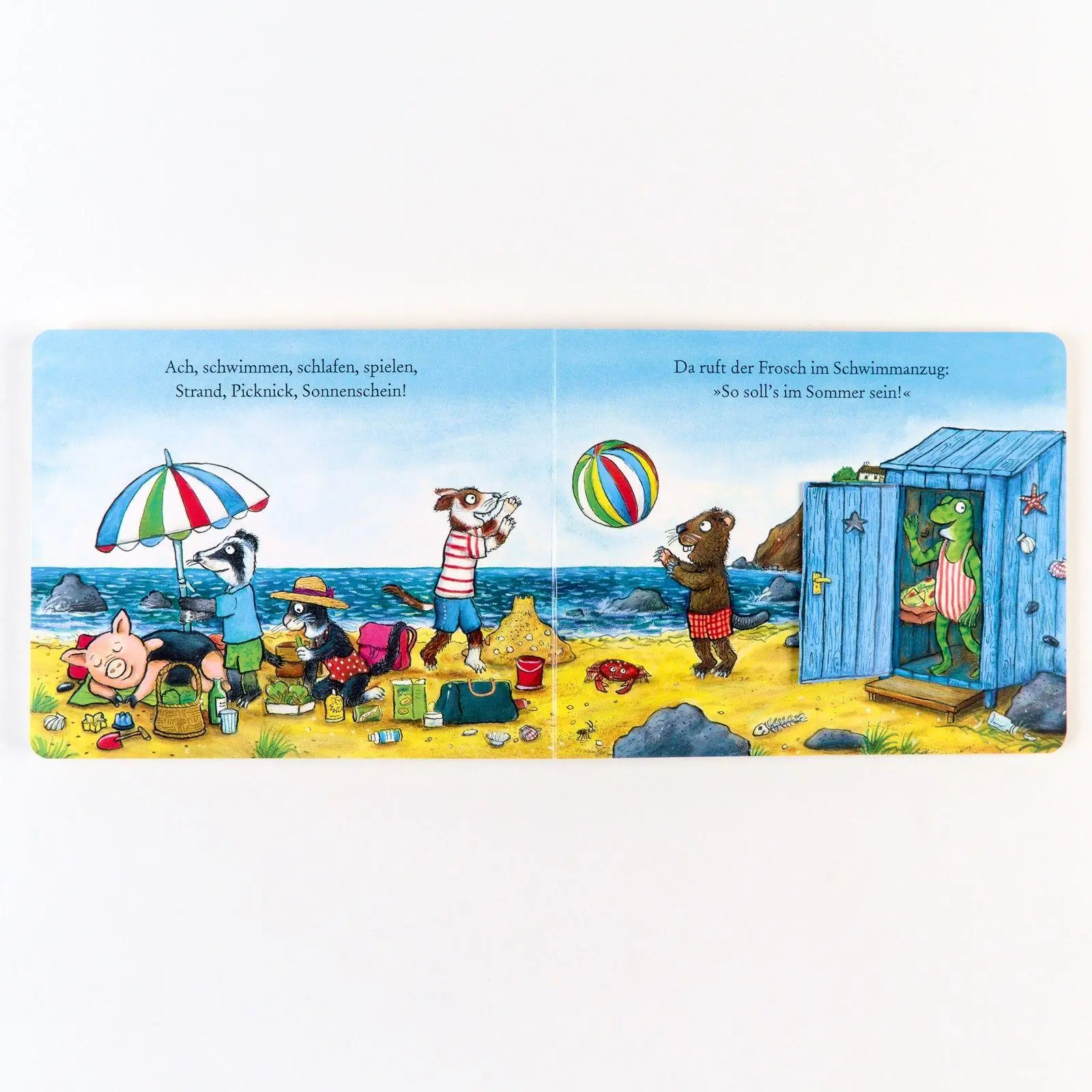Bild: 9783407759276 | Der Frosch freut sich aufs Meer | Axel Scheffler (u. a.) | Buch | 2024