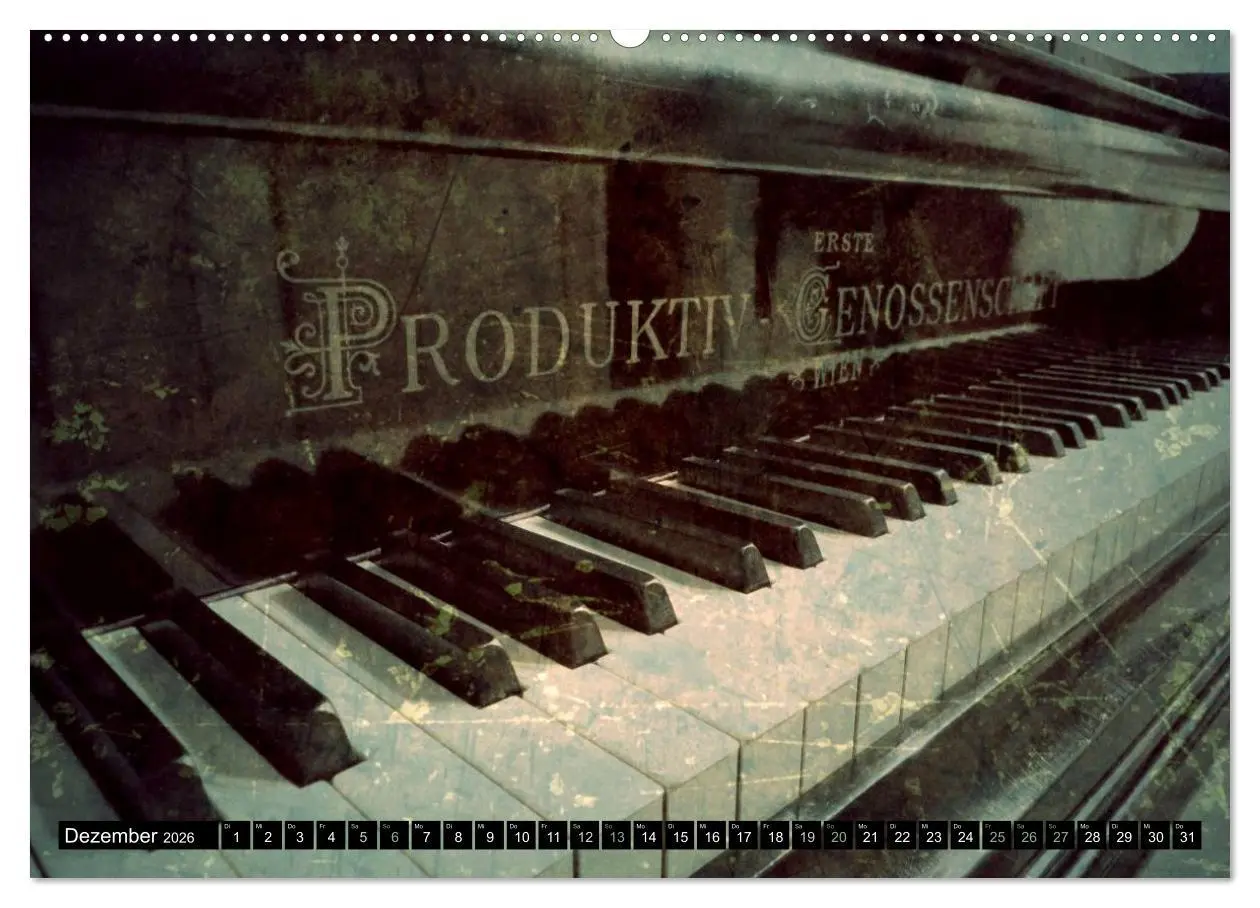 Bild: 9783516109276 | Musik im Fokus (Wandkalender 2026 DIN A2 quer), CALVENDO...