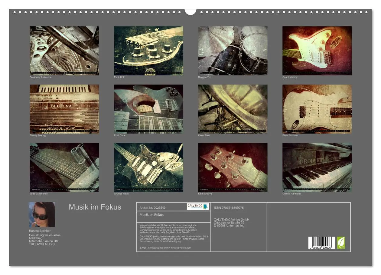 Bild: 9783516109276 | Musik im Fokus (Wandkalender 2026 DIN A2 quer), CALVENDO...