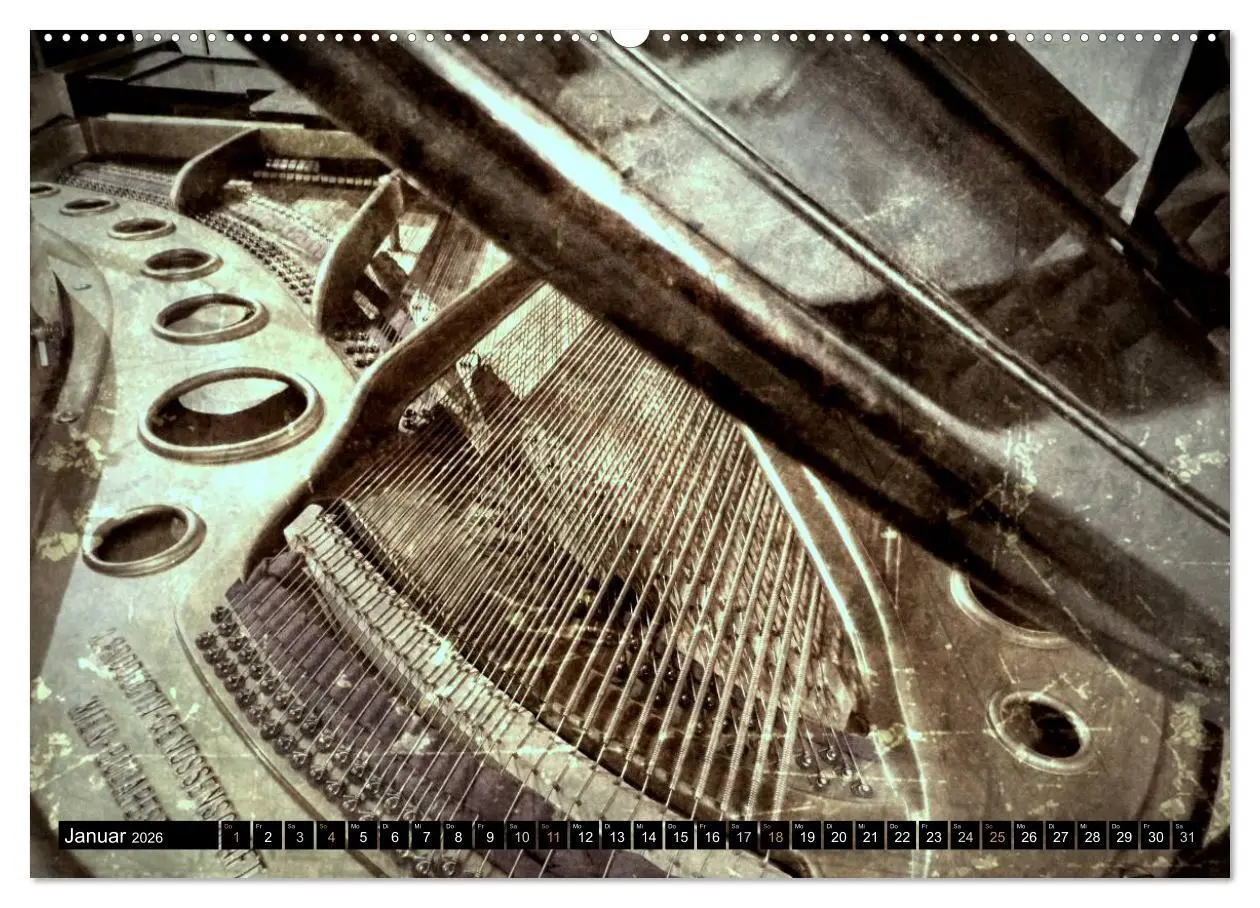 Bild: 9783516109276 | Musik im Fokus (Wandkalender 2026 DIN A2 quer), CALVENDO...