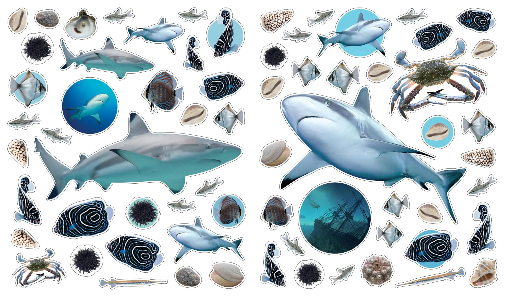 Bild: 9780761169376 | Eyelike Stickers: Ocean | Workman Publishing | Broschüre | Geheftet