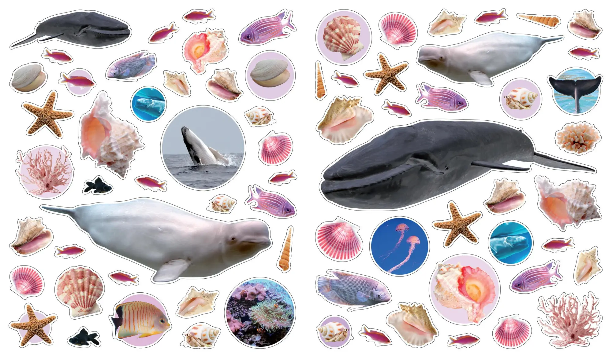 Bild: 9780761169376 | Eyelike Stickers: Ocean | Workman Publishing | Broschüre | Geheftet