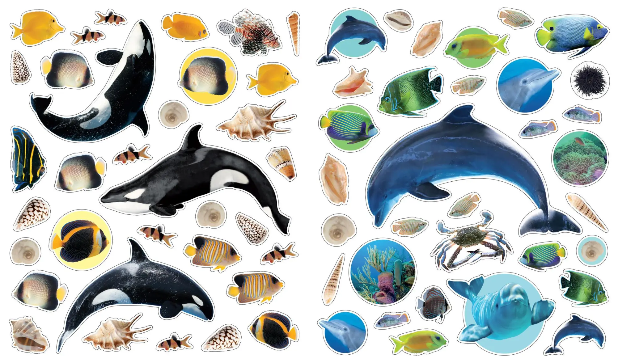 Bild: 9780761169376 | Eyelike Stickers: Ocean | Workman Publishing | Broschüre | Geheftet