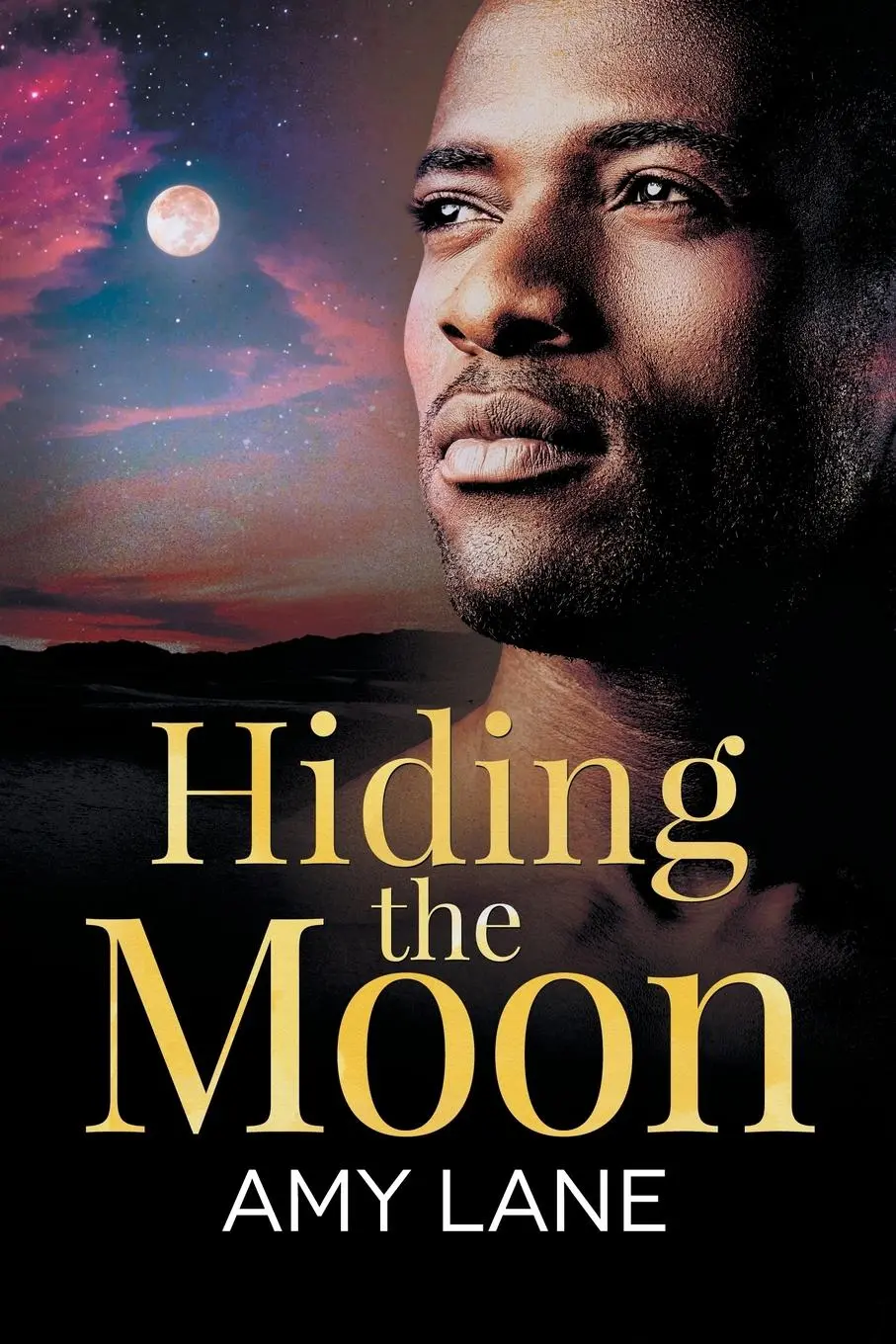 Cover: 9781640809376 | Hiding the Moon | Amy Lane | Taschenbuch | Kartoniert / Broschiert