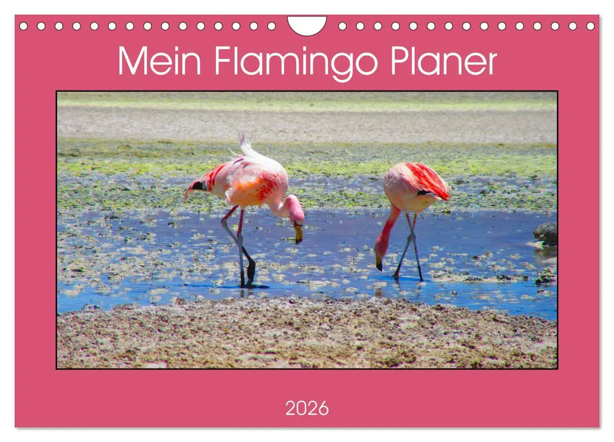 Cover: 9783457629376 | Mein Flamingo Planer (Wandkalender 2026 DIN A4 quer), CALVENDO...