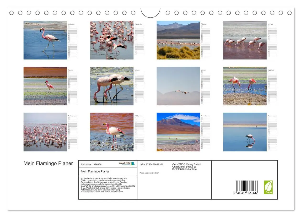 Bild: 9783457629376 | Mein Flamingo Planer (Wandkalender 2026 DIN A4 quer), CALVENDO...