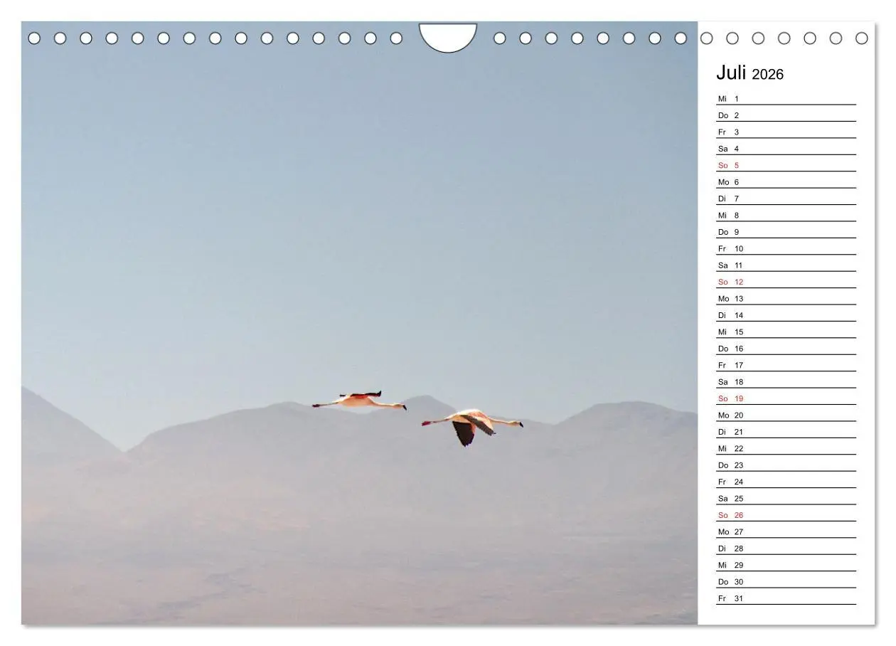Bild: 9783457629376 | Mein Flamingo Planer (Wandkalender 2026 DIN A4 quer), CALVENDO...