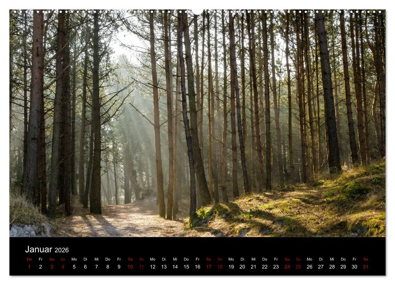Bild: 9783457869376 | Polen - Reise durch unser schönes Nachbarland (Wandkalender 2026...