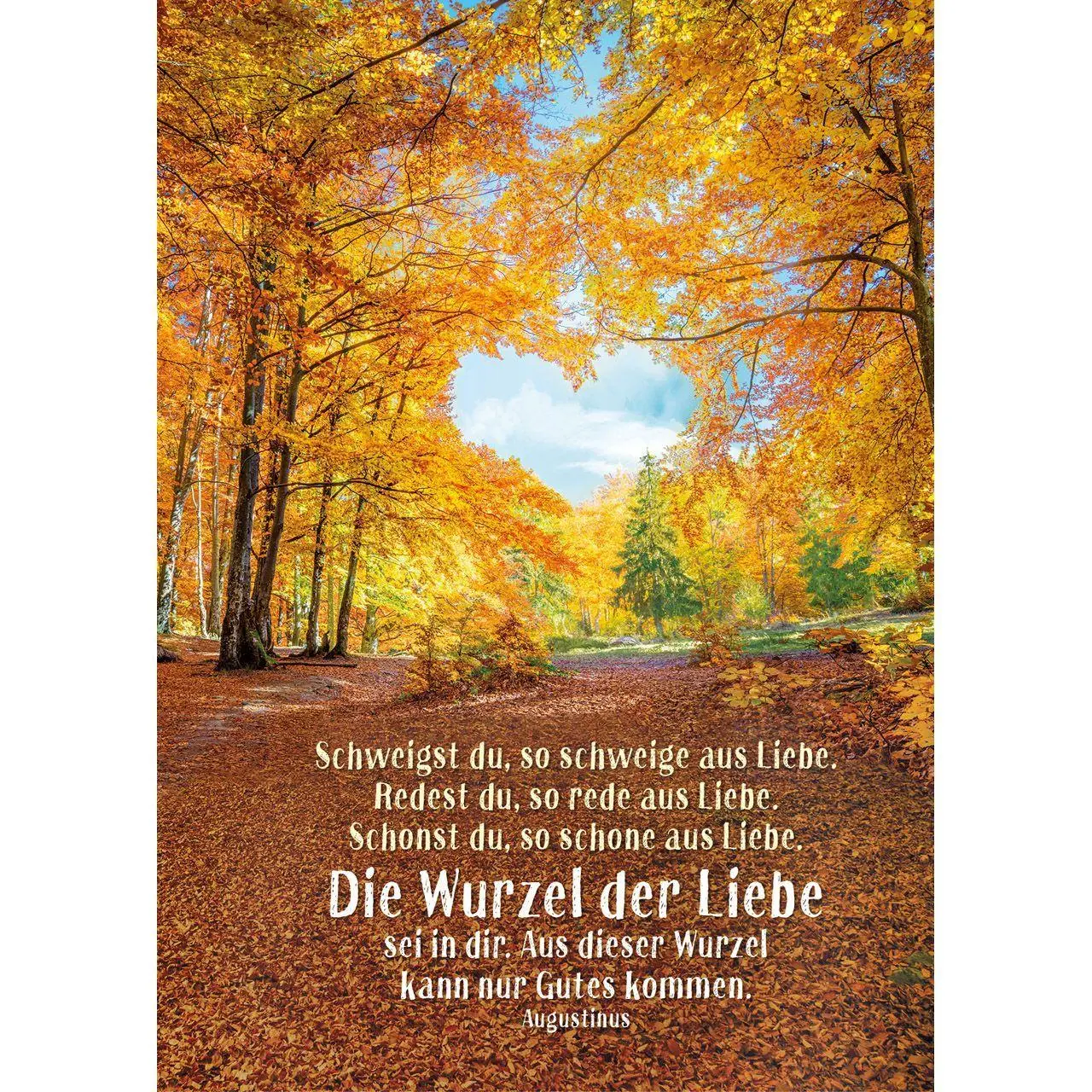 Bild: 9783754869376 | Tage voller Licht 2027 | Termin-Kalender für unterwegs | Kalender
