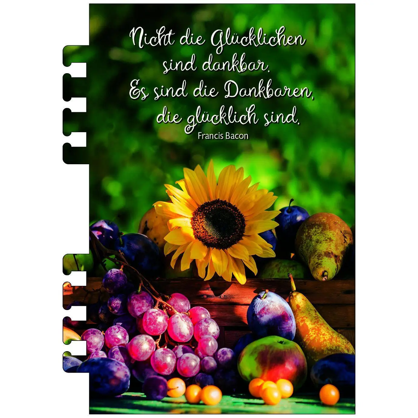 Bild: 9783754869376 | Tage voller Licht 2027 | Termin-Kalender für unterwegs | Kalender