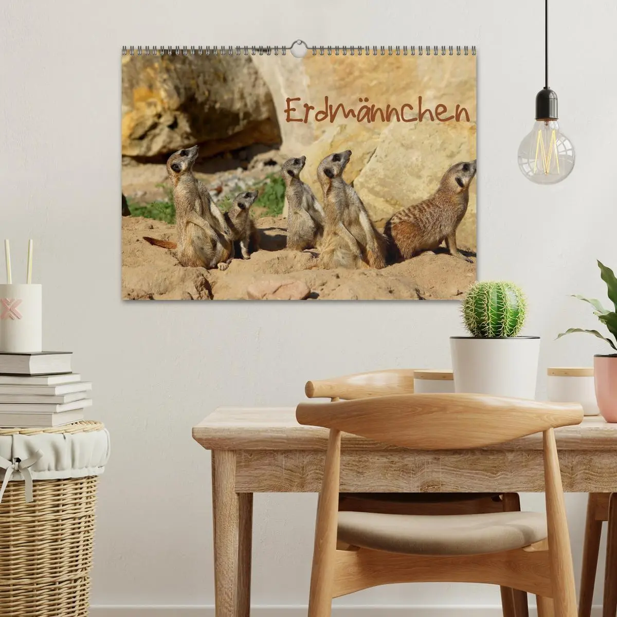Bild: 9783516189476 | Erdmännchen (Wandkalender 2026 DIN A3 quer), CALVENDO Monatskalender