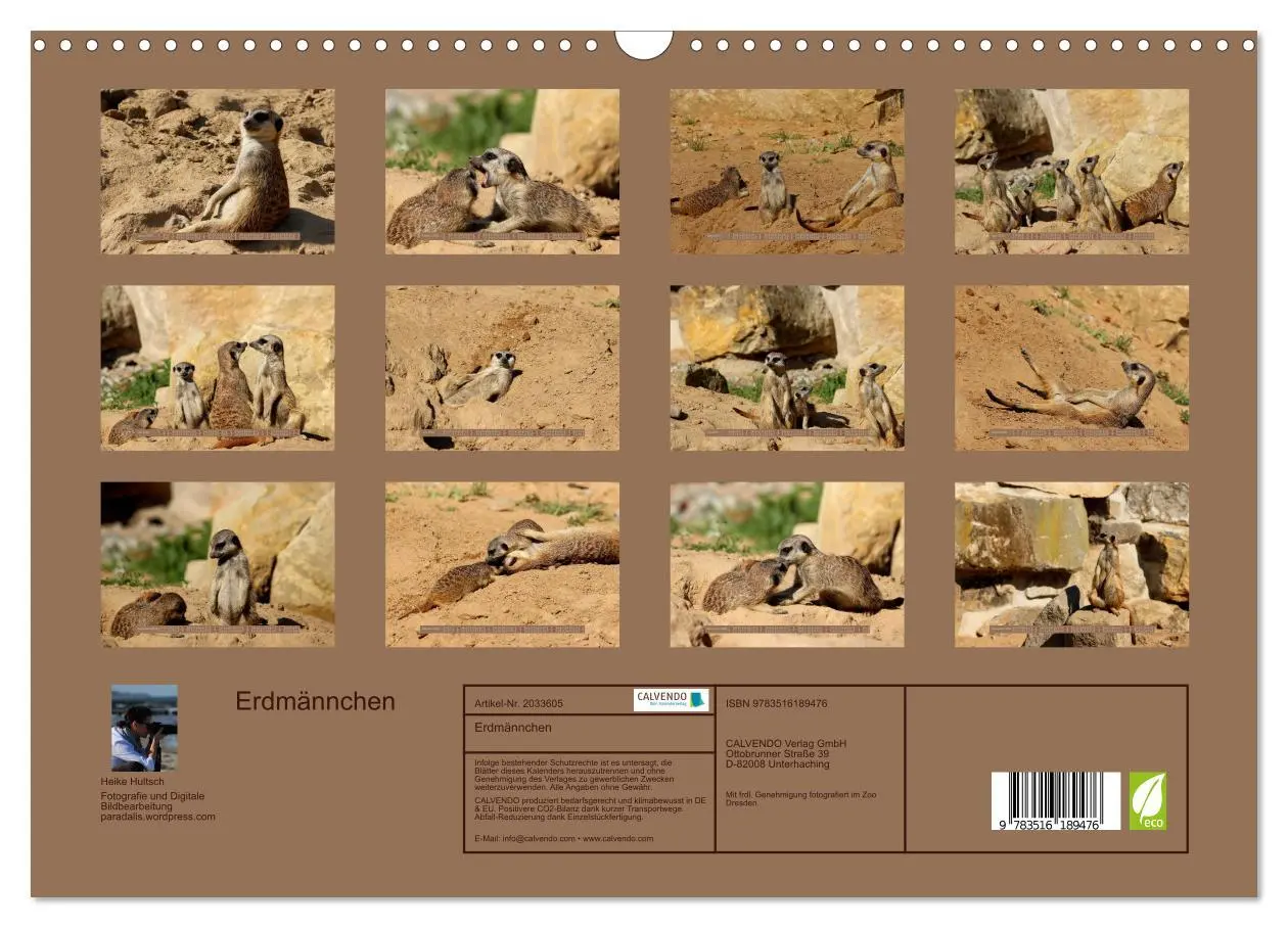 Bild: 9783516189476 | Erdmännchen (Wandkalender 2026 DIN A3 quer), CALVENDO Monatskalender