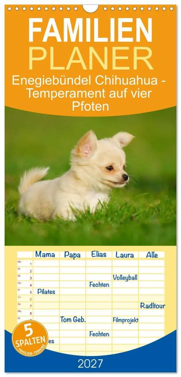 Cover: 9783594309476 | Familienplaner 2027 - Enegiebündel Chihuahua - Temperament auf vier...