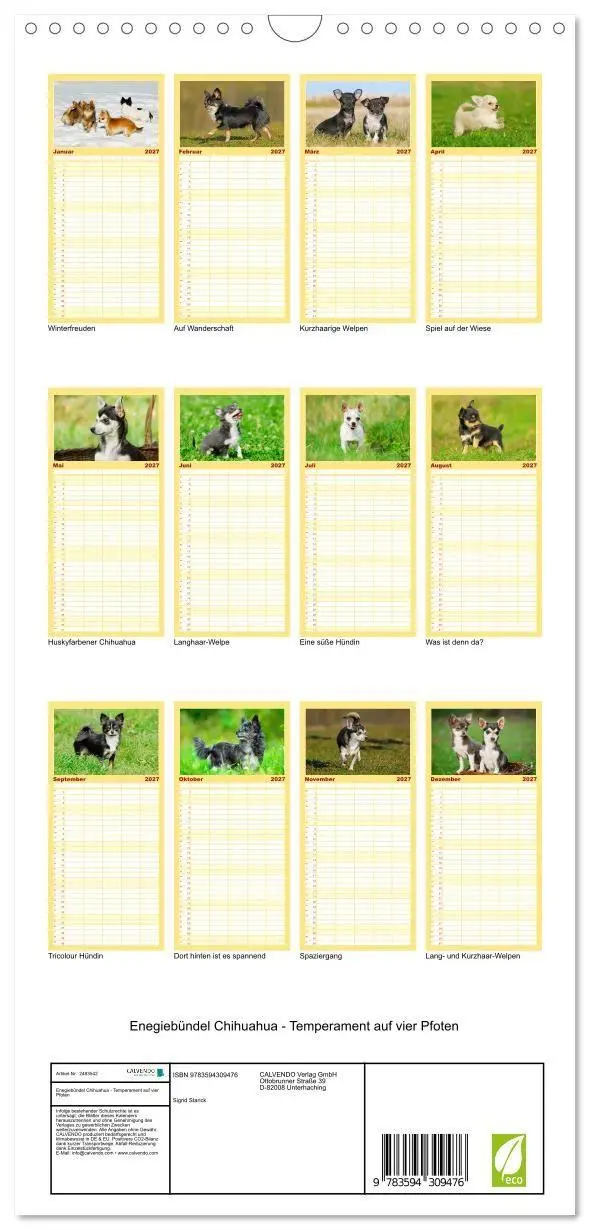 Bild: 9783594309476 | Familienplaner 2027 - Enegiebündel Chihuahua - Temperament auf vier...