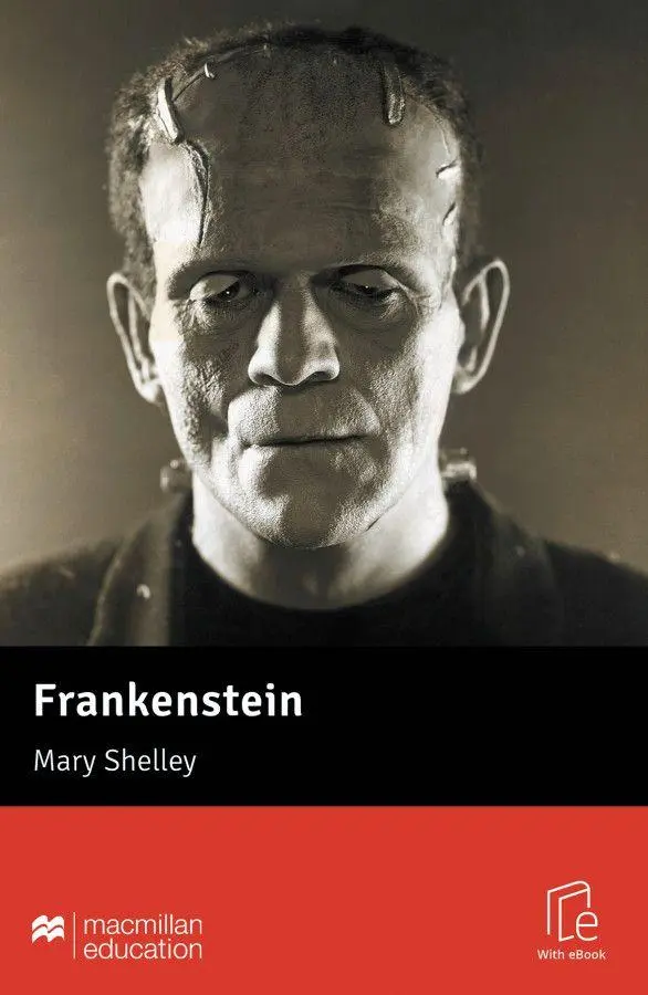 Cover: 9783196629576 | Frankenstein | Lektüre mit Code | Mary Shelley | Bundle | Englisch