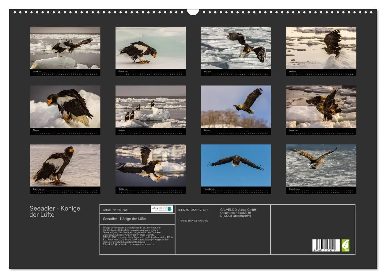 Bild: 9783516179576 | Seeadler - Könige der Lüfte (Wandkalender 2026 DIN A2 quer),...
