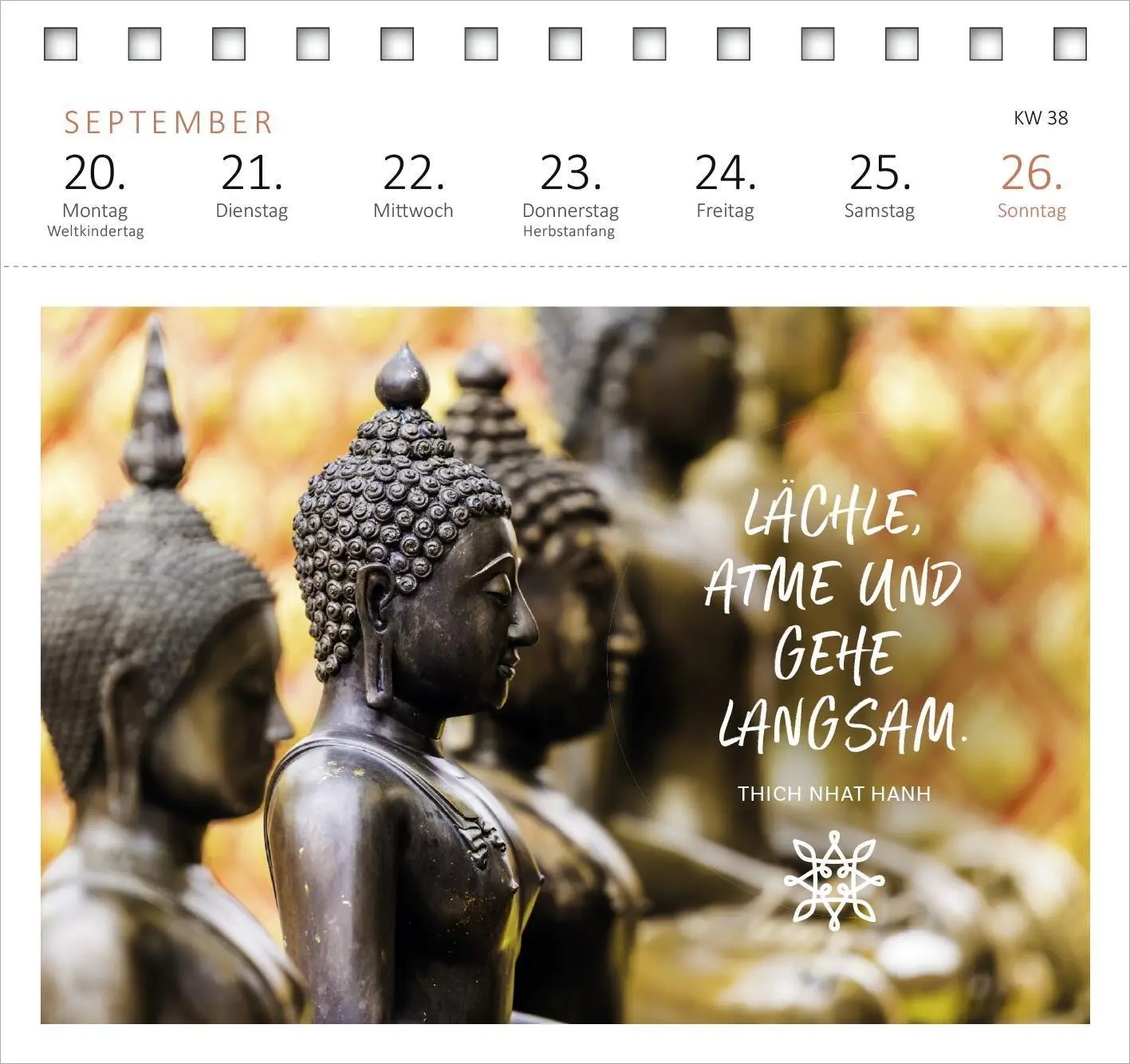 Bild: 4014489139676 | Postkartenkalender Yogaglück für jeden Tag 2027 | Kalender | 108 S.