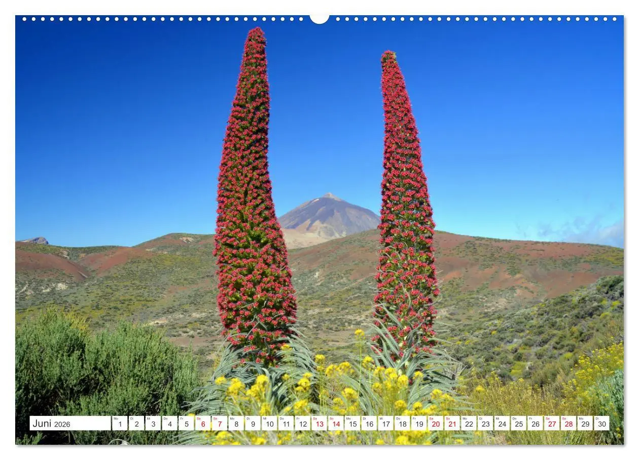Bild: 9783457389676 | Teneriffa - Insel der Glückseligen (Wandkalender 2026 DIN A2 quer),...