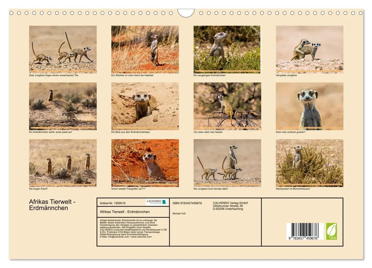 Bild: 9783457459676 | Afrikas Tierwelt - Erdmännchen (Wandkalender 2026 DIN A3 quer),...