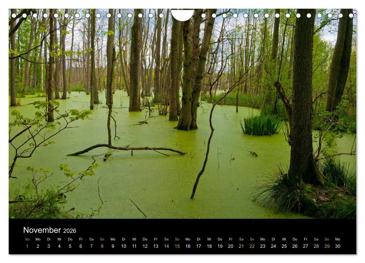 Bild: 9783457909676 | Brandenburg - Landschaften zwischen Elbe und Oder (Wandkalender...