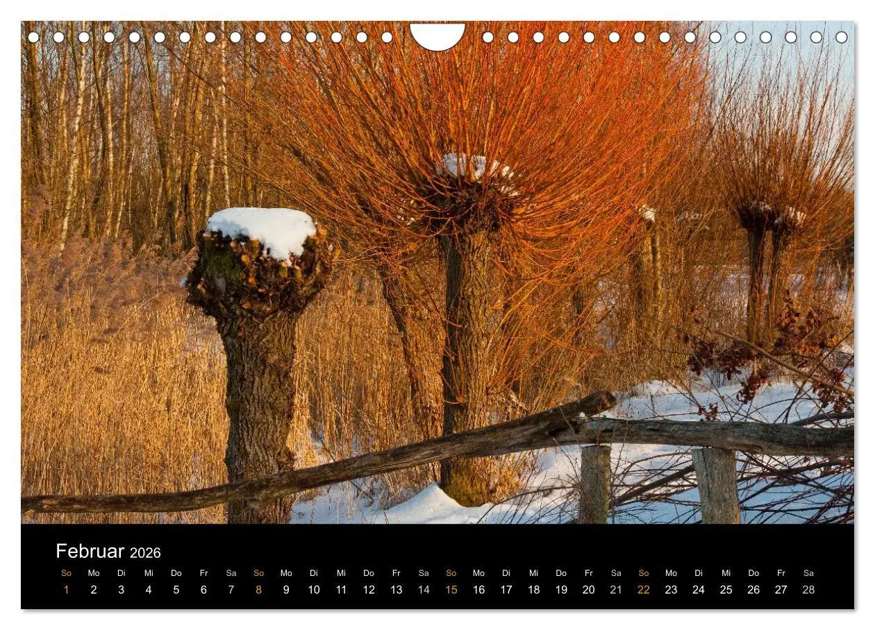Bild: 9783457909676 | Brandenburg - Landschaften zwischen Elbe und Oder (Wandkalender...