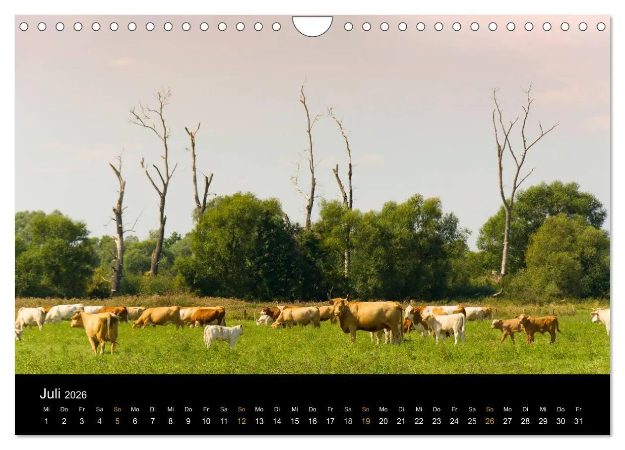 Bild: 9783457909676 | Brandenburg - Landschaften zwischen Elbe und Oder (Wandkalender...