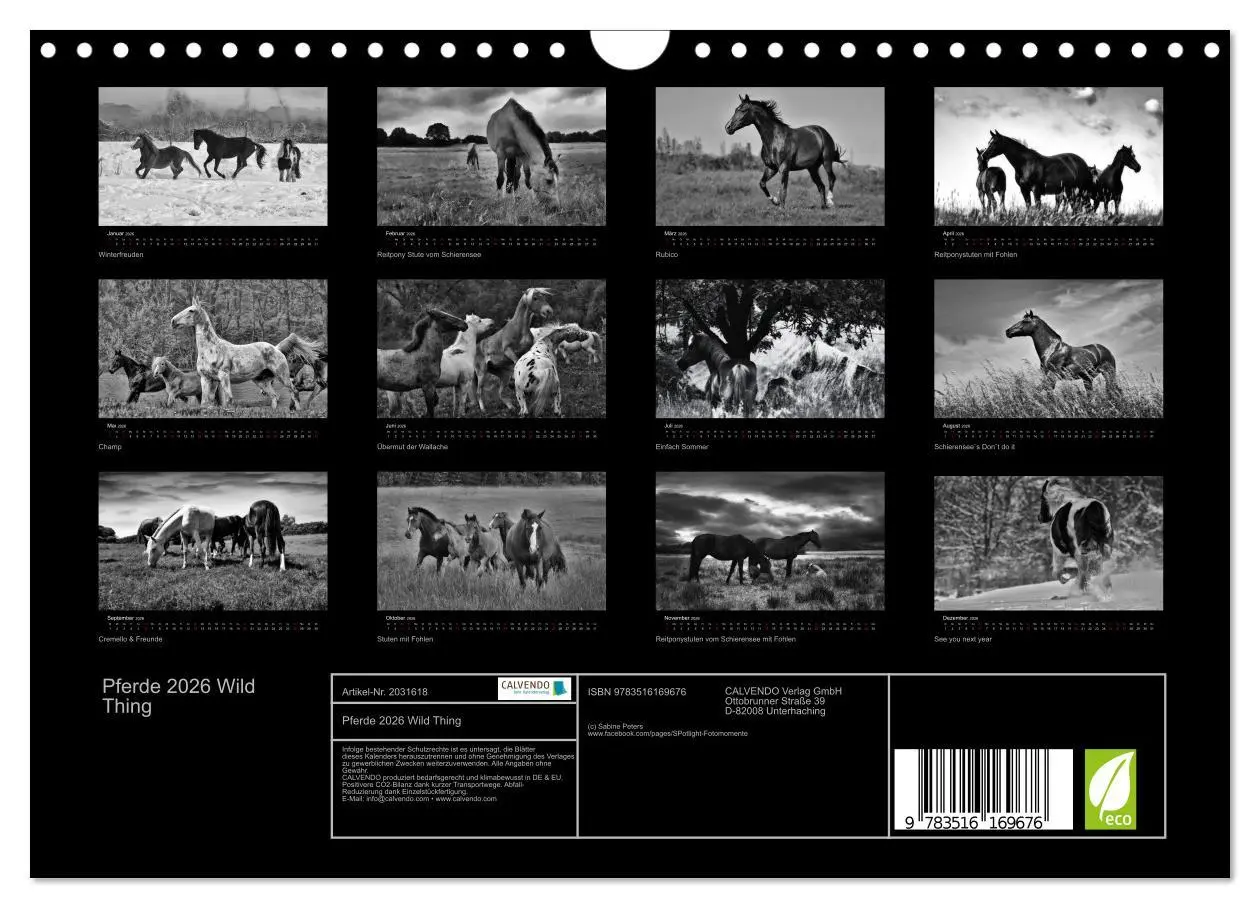 Bild: 9783516169676 | Pferde 2026 Wild Thing (Wandkalender 2026 DIN A4 quer), CALVENDO...